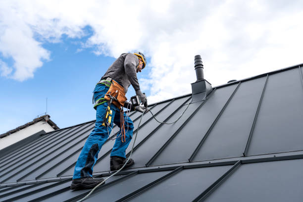 Best Steel Roofing  in Davenport, IA