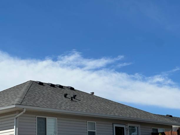 Best 4 Ply Roofing  in Davenport, IA